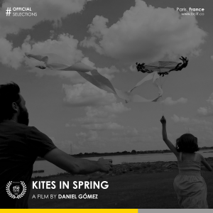 Kites in Spring